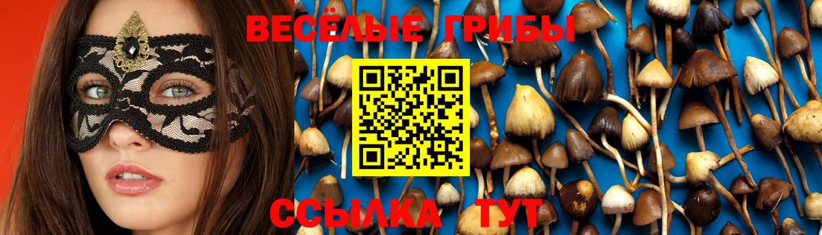 Галлюциногенные грибы Psilocybe  Вход с VPN  Пушкино 